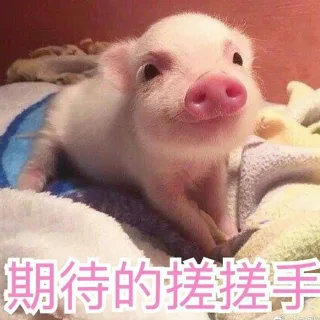 期待的搓搓手