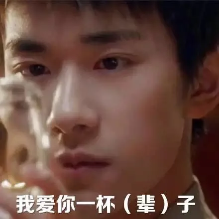 我爱你一辈子