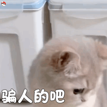 骗人的吧