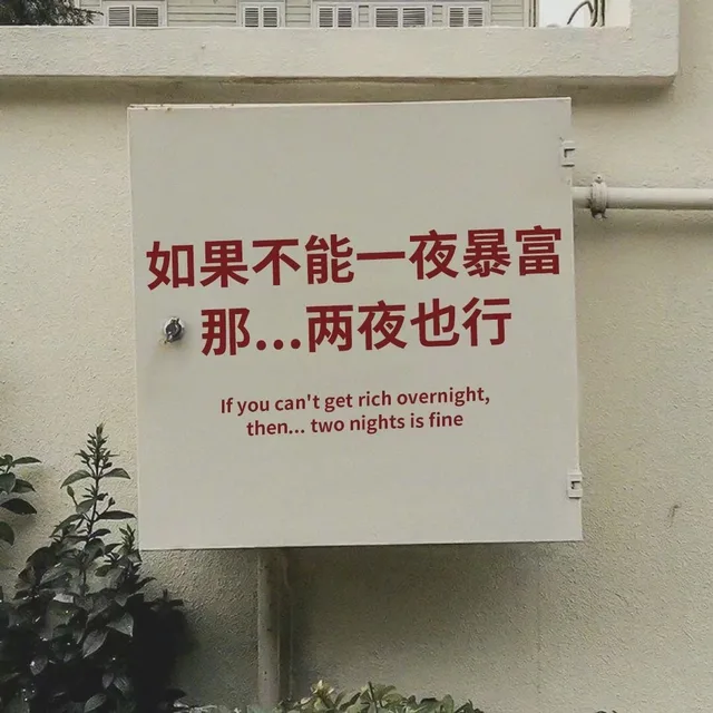 如果不能一夜暴富那两夜也行If you can't get rich overnight ,then... two nights is fine