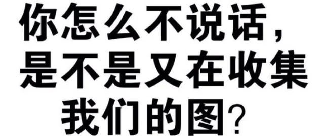 你怎么不说话,是不是又在收集我们的图?（你怎么不说话,是不是又在收集我们的图?）