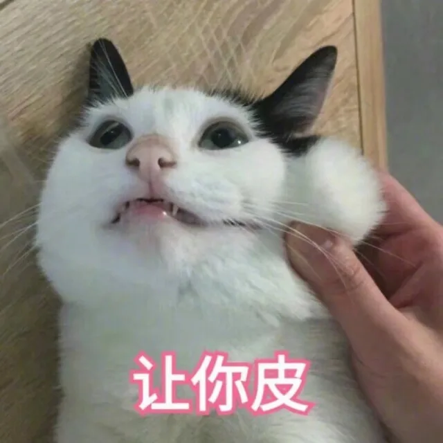 让你皮（让你皮）