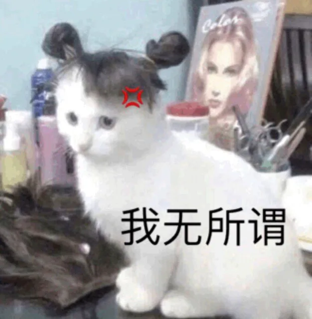 我无所谓（我无所谓）