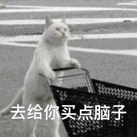 去给你买点脑子（去给你买点脑子）