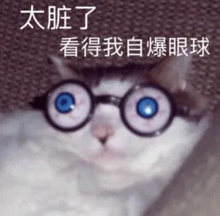 一组可爱猫咪狗子