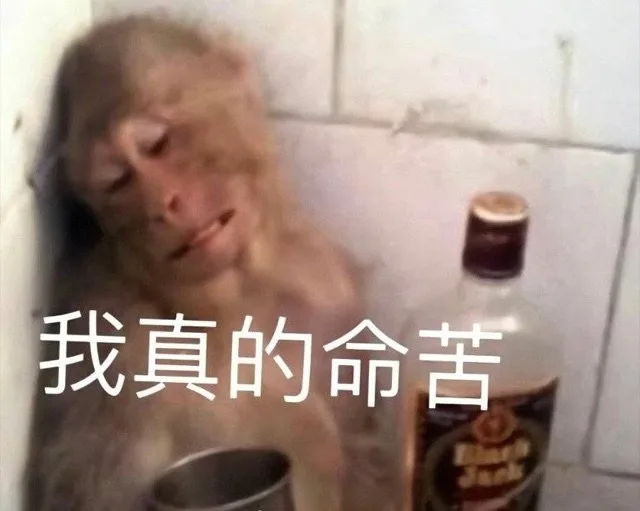 我真的命苦（我真的命苦）