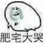 肥宅大哭（肥宅大哭）