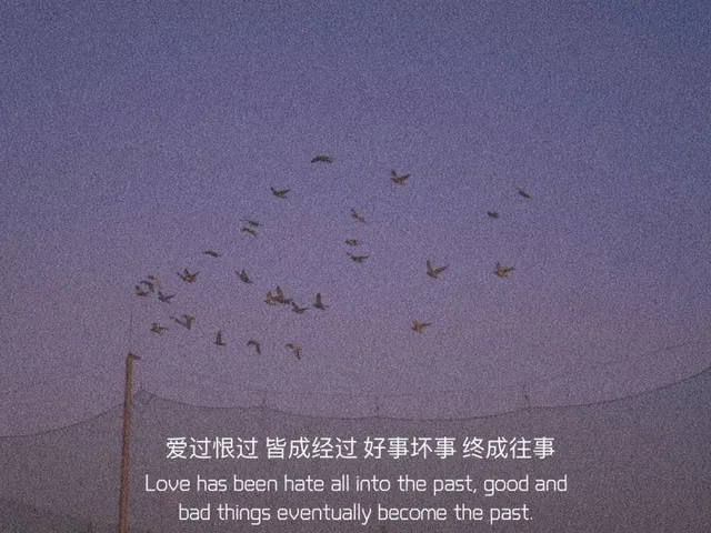 爱过恨过皆成经过好事坏事终成往事Love has been hate all into the past ,good and bad things eventually become the past