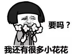 要吗？我还有很多小花花
