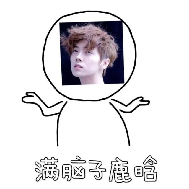 满脑子鹿晗