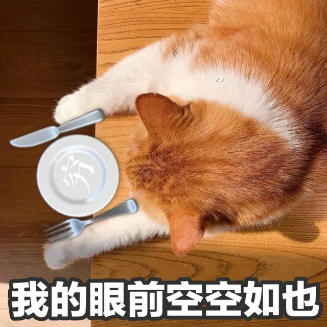 我的眼前空空如也