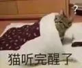 猫听完醒子（猫听完醒子）