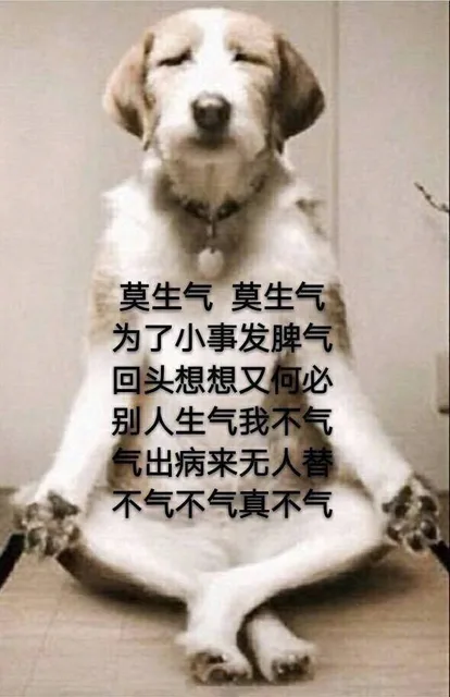 莫生气 莫生气!为了小事发脾气，回头想想又何必。别人生气我不气，气出病来无人替。我若气死谁如意？况且伤身又费力。（狗打坐）