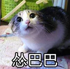 怂巴巴