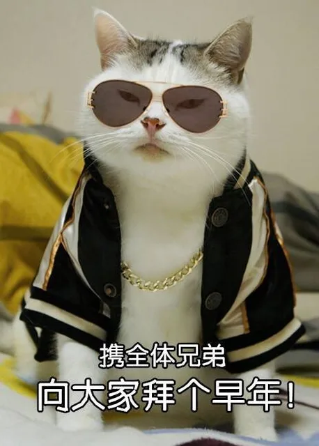 携全体兄弟，向大家拜个早年！