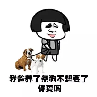 我爸养了条狗不想要了 你要吗
