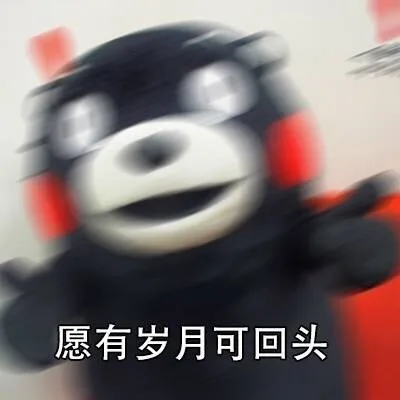 愿有岁月可回头（愿有岁月可回头）