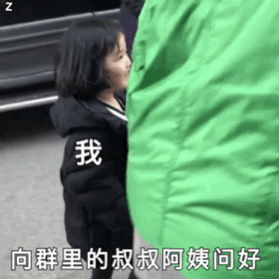 我向群里的叔叔阿姨们问好