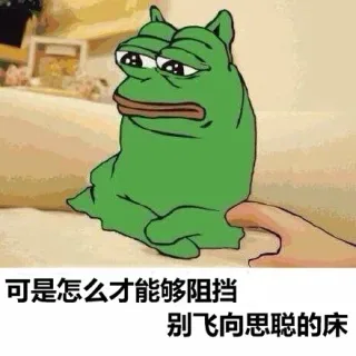可是怎么才能够阻挡，别飞向思聪的床