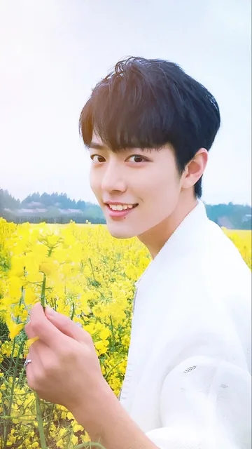 肖战壁纸（肖战壁纸）