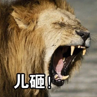 儿砸!
