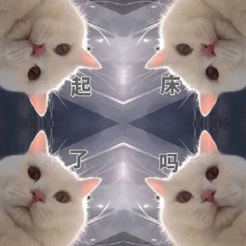起床了吗