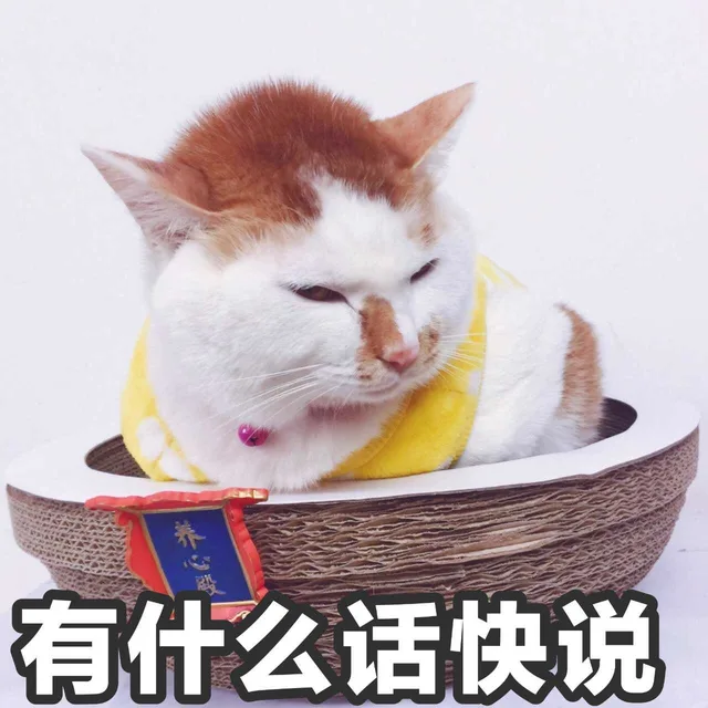 有什么话快说
