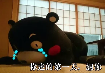 你走的第一天，想你