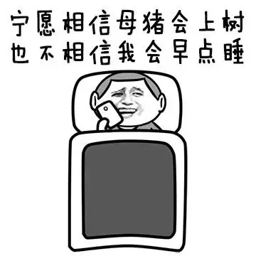 宁愿相信母猪会上树，也不相信我会早点睡