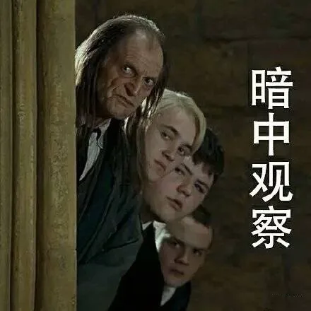 暗中观察（暗中观察）