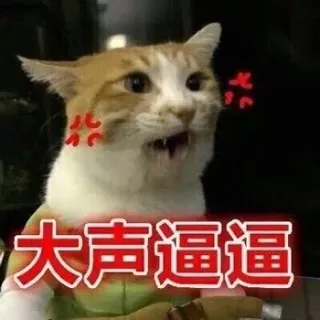 大声逼逼