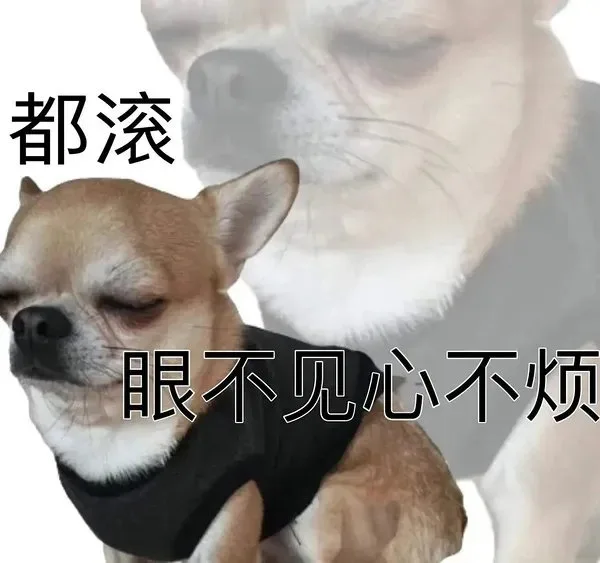 都滚眼不见心不烦（都滚眼不见心不烦）