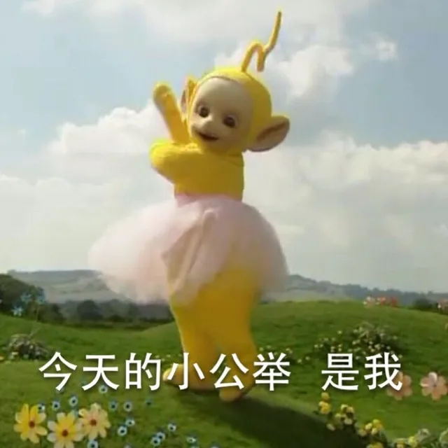 今天的小公举 是我