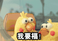 鹦鹉兄弟：今年的你收到敬业福了吗 _鹦鹉兄弟_敬业福_五福_萌萌哒