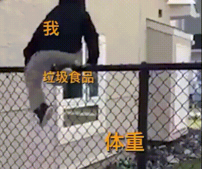 我 vs 垃圾食品 体重（我 vs 垃圾食品 体重）