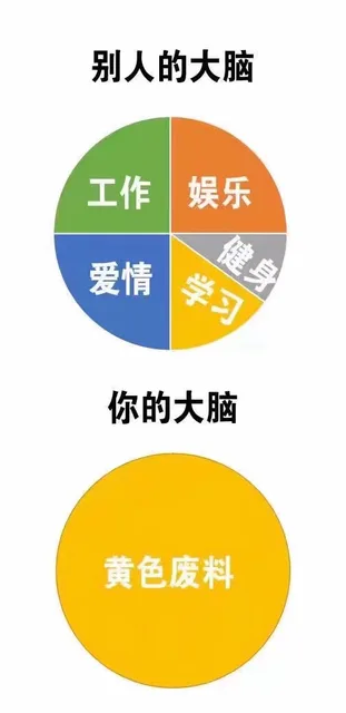 别人的大脑工作娱乐爱情你的大脑黄色废料