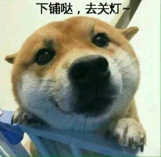 我与小伙伴的寝室日常_关灯_宿舍_群聊