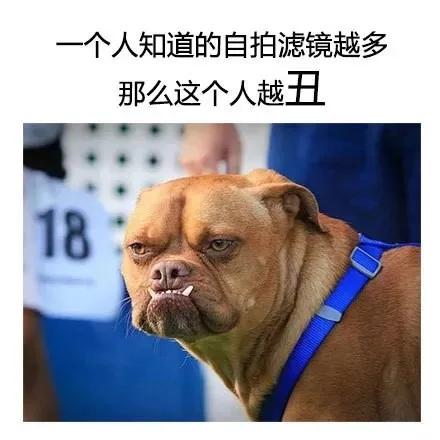 一个人知道的自拍滤镜越多，那么这个人越丑（一个人知道的自拍滤镜越多，那么这个人越丑）