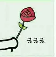 汪汪汪