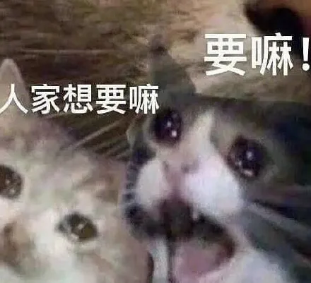 要嘛人家想要嘛（要嘛人家想要嘛）