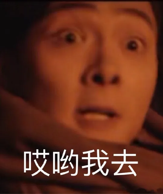 哎哟我去（哎哟我去）