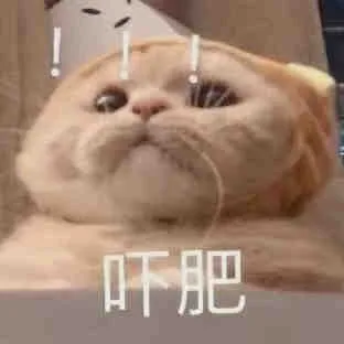 一些猫猫