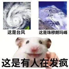 这是台风这是珠穆朗玛峰这是有人在发疯(鼠鼠表情包)（这是台风这是珠穆朗玛峰这是有人在发疯(鼠鼠表情包)）