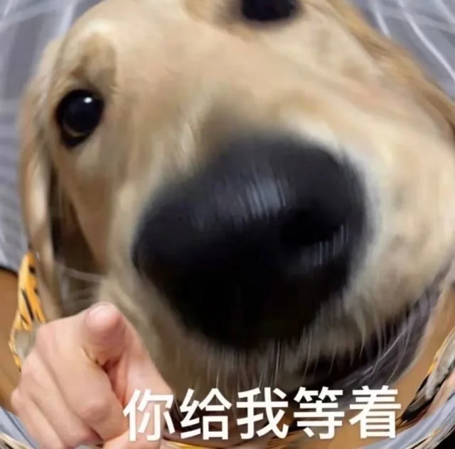 你给我等着（你给我等着）