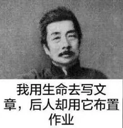 我用生命去写文章,后人却用它布置作业（我用生命去写文章,后人却用它布置作业）
