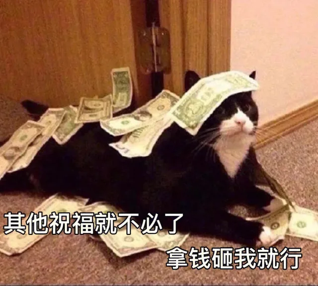 其他祝福就不必了拿钱砸我就行（其他祝福就不必了拿钱砸我就行）