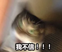 气得我都糊掉了_并不简单_不约_群聊