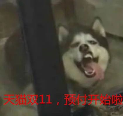 天猫双11 预付开始啦（狗子）