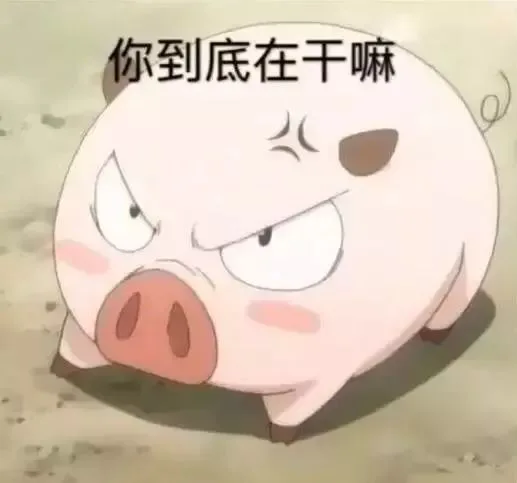 你到底在干嘛（你到底在干嘛）