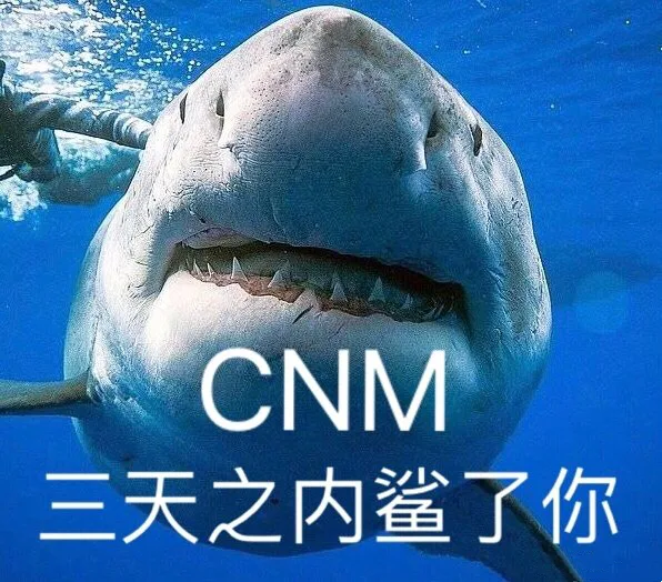 CNM 三天之内鲨了你